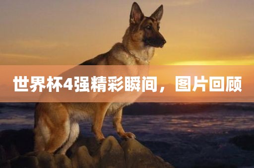 世界杯4强精彩瞬间，图片回顾