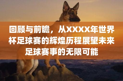 回顾与前瞻，从XXXX年世界杯足球赛的辉煌历程展望未来足球赛事的无限可能眉山市正发家政服务有限公司
