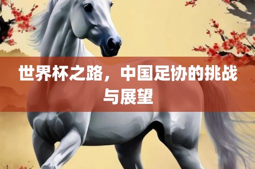 世界杯之路，中国足协的挑战与展望