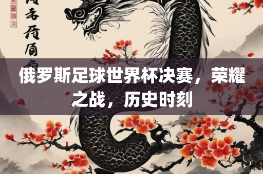 俄罗斯足球世界杯决赛，荣耀之战，历史时刻