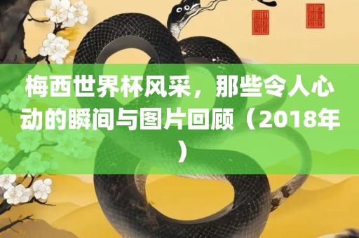 梅西世界杯风采，那些令人心动的瞬间与图片回顾（2018年眉山市正发家政服务有限公司）