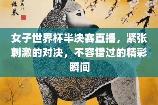 女子世界杯半决赛直播，紧张刺激的对决，不容错过的精彩瞬间