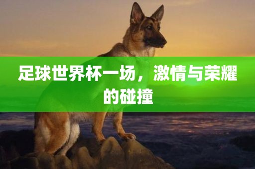 足球世界杯一场，激情与荣耀的碰撞眉山市正发家政服务有限公司