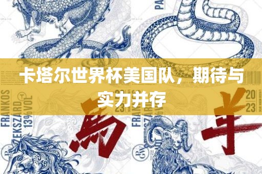 卡塔尔世界杯美国队，期待与实力并存