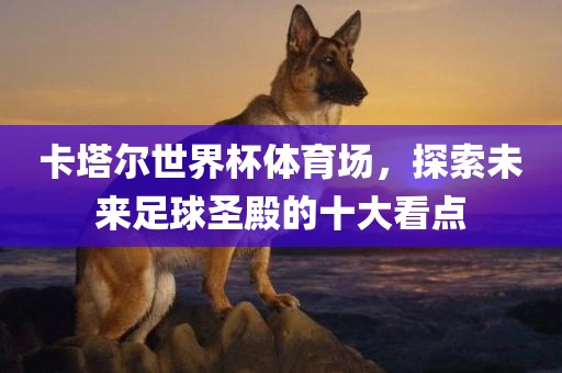 卡塔尔世界杯体育场，探索未来足球圣殿的十大看点眉山市正发家政服务有限公司