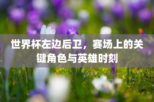 世界杯左边后卫，赛场上的关键角色与英雄时刻