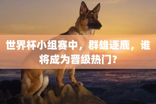 世界杯小组赛中，群雄逐鹿，谁将成为晋级热门？