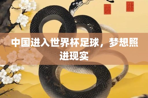 中国进入世界杯足球，梦想照进现实