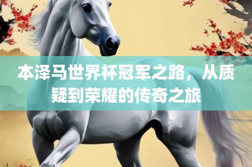 本泽马世界杯冠军之路，从质疑到荣耀的传奇之旅