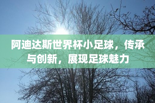 阿迪达斯世界杯小足球，传承与创新，展现足球魅力