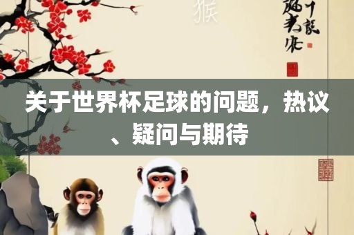 关于世界杯足球的问题，热议、疑问与期待
