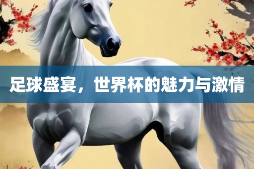 足球盛宴，世界杯的魅力与激情眉山市正发家政服务有限公司