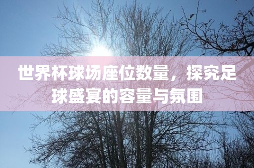 世界杯球场座位数量，探究足球盛宴的容量与氛围眉山市正发家政服务有限公司