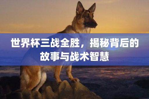 世界杯三战全胜，揭秘背后的故事与战术智慧
