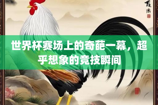 世界杯赛场上的奇葩一幕，超乎想象的竞技瞬间眉山市正发家政服务有限公司