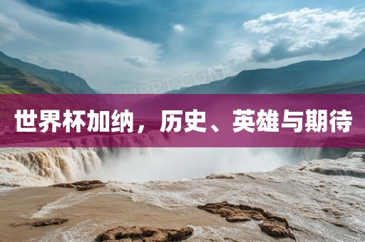 世界杯加纳，历史、英雄与期待眉山市正发家政服务有限公司