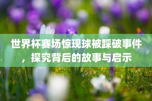 世界杯赛场惊现球被踩破事件，探究背后的故事与启示
