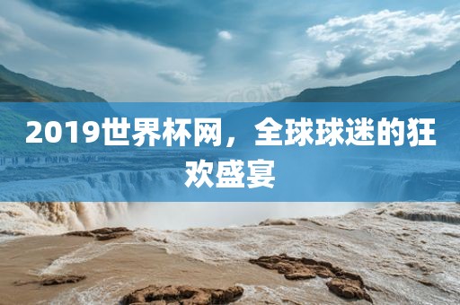 2019世界杯网，全球球迷的狂欢盛宴