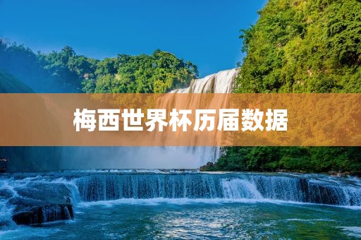梅西世界杯历届数据眉山市正发家政服务有限公司