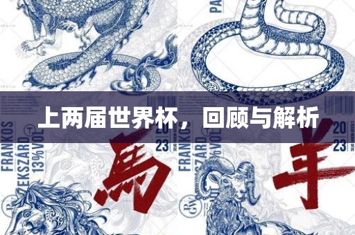 上两届世界杯，回顾与解析