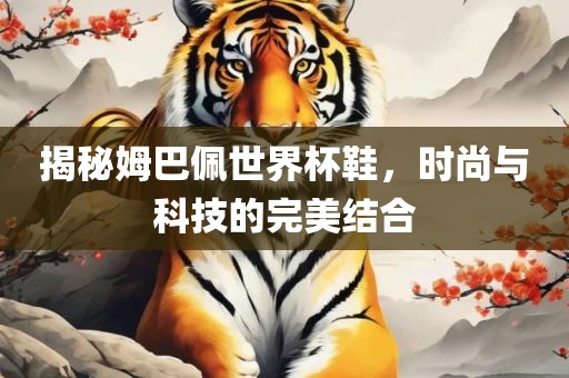 揭秘姆巴佩世界杯鞋，时尚与科技的完美结合眉山市正发家政服务有限公司