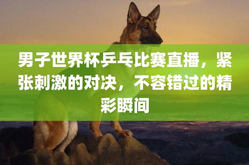 男子世界杯乒乓比赛直播，紧张刺激的对决，不容错过的精彩瞬间