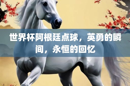 世界杯阿根廷点球，英勇的瞬间，永恒的回忆