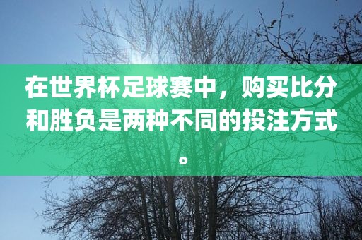 在世界杯足球赛中，购买比分和胜负是两种不同的投注方式。