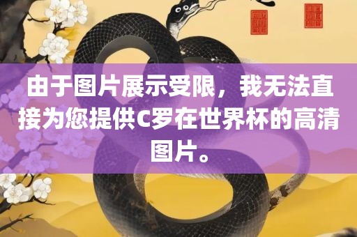 由于图片展示受限，我无法直接为您提供C罗在世界杯的高清图片。