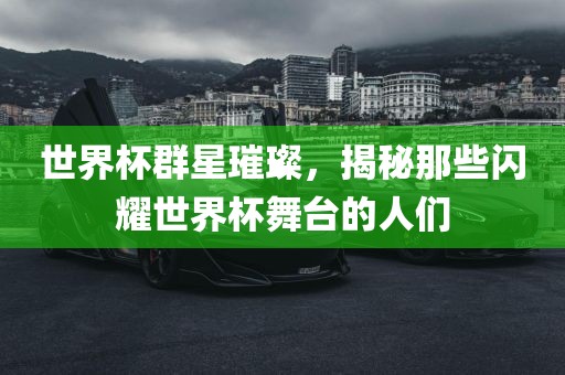 世界杯群星璀璨，揭秘那些闪耀世界杯舞台的人们