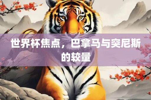 世界杯焦点，巴拿马与突尼斯的较量