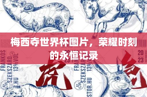 梅西夺世界杯图片，荣耀时刻的永恒记录