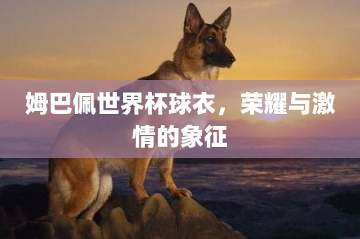 姆巴佩世界杯球衣，荣耀与激情的象征