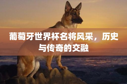葡萄牙世界杯名将风采，历史与传奇的交融