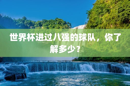 世界杯进过八强的球队，你了解多少？