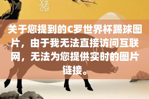 关于您提到的C罗世界杯踢球图片，由于我无法直接访问互联网，无法为您提供实时的图片链接。眉山市正发家政服务有限公司