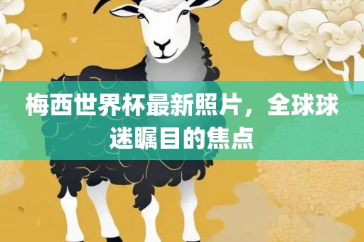 梅西世界杯最新照片，全球球迷瞩目的焦点