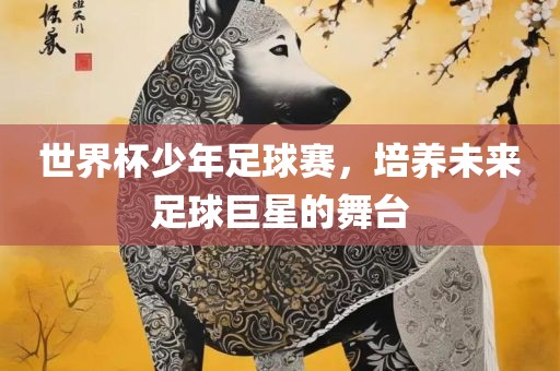 世界杯少年足球赛，培养未来足球巨星的舞台