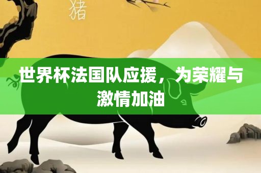 世界杯法国队应援，为荣耀与激情加油