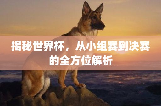 揭秘世界杯，从小组赛到决赛的全方位解析