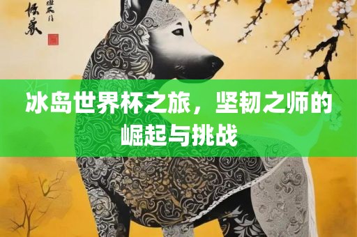 冰岛世界杯之旅，坚韧之师的崛起与挑战