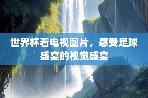 世界杯看电视图片，感受足球盛宴的视觉盛宴