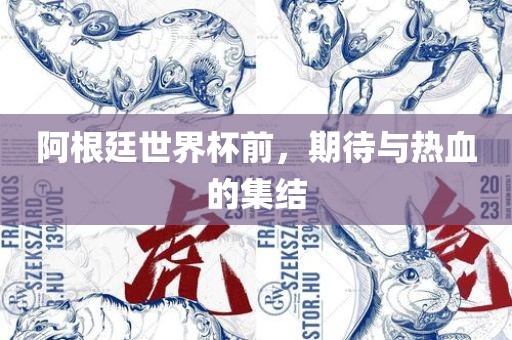 阿根廷世界杯前，期待与热血的集结