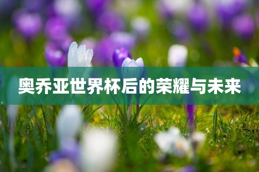 奥乔亚世界杯后的荣耀与未来眉山市正发家政服务有限公司