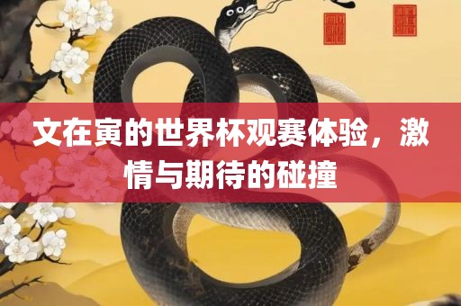 文在寅的世界杯观赛体验，激情与期待的碰撞