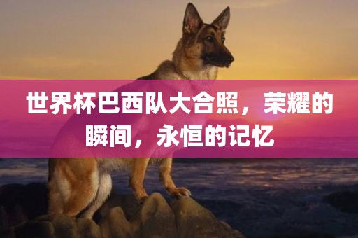 世界杯巴西队大合照，荣耀的瞬间，永恒的记忆
