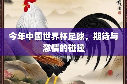 今年中国世界杯足球，期待与激情的碰撞
