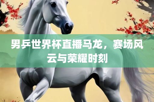男乒世界杯直播马龙，赛场风云与荣耀时刻