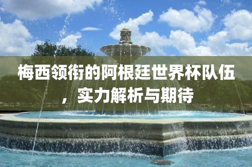 梅西领衔的阿根廷世界杯队伍，实力解析与期待