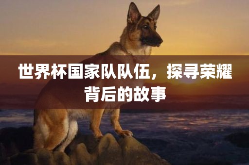 世界杯国家队队伍，探寻荣耀背后的故事